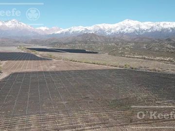 Campo en Venta de 30.000 has ideal proyecto inmobiliario Valle de Uco Mendoza