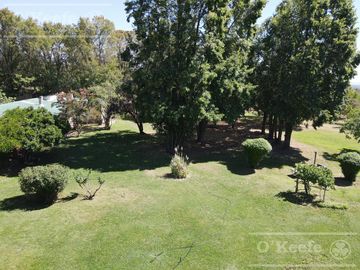 Campo en Venta de 30.000 has ideal proyecto inmobiliario Valle de Uco Mendoza