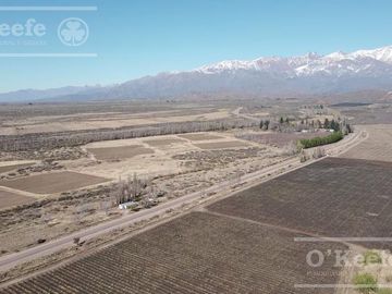 Campo en Venta de 30.000 has ideal proyecto inmobiliario Valle de Uco Mendoza