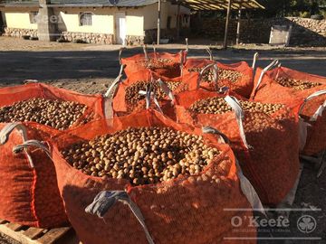 Campo en Venta de 30.000 has ideal proyecto inmobiliario Valle de Uco Mendoza
