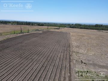 Campo en Venta de 30.000 has ideal proyecto inmobiliario Valle de Uco Mendoza