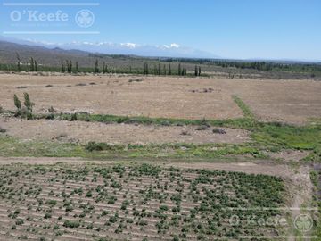 Campo en Venta de 30.000 has ideal proyecto inmobiliario Valle de Uco Mendoza