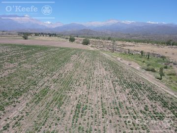 Campo en Venta de 30.000 has ideal proyecto inmobiliario Valle de Uco Mendoza