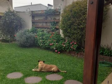 Casa - Ramos Mejia Sur