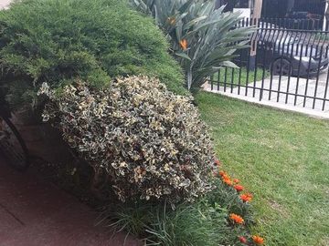 Casa - Ramos Mejia Sur