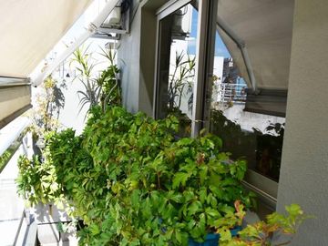 venta palermo bulnes 1400 excelente piso de 3 ambientes con dependencia , cochera y amenities