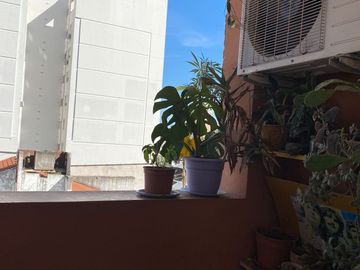 Departamento - La Capital