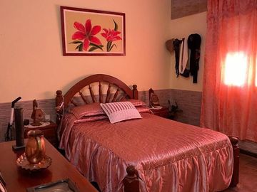 Casa 3 dormitorios con 2 deptos en zona centro