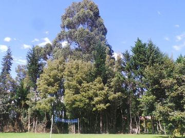 VIVIENDA CAMPESTRE LOTE 4 DE 3 BLOQUES CONSTRUCTIVOS CON JARDÍN Y ÁRBOLES FRUT.