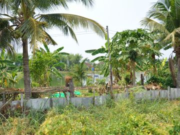 Land for sale in Nong Han, Chiang Mai