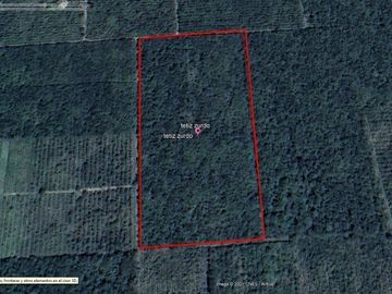 Terreno de 5.2 Ha. en Tetiz, Yucatán, en venta.