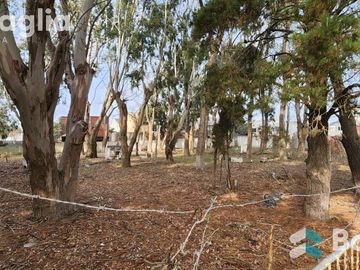 LOTE DE 400 M2- A UNA CUADRA DE LA AV SAN BERNARDO- San Bernardo Del Tuyu