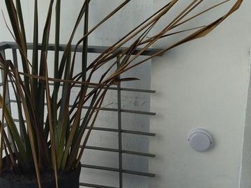 LOFT ( DEPARTAMENTO - DUPLEX)- calle 38 entre 6 y Plaza Olazabal-  La Plata
