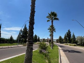 Casa en  Venta en Barrio Privado Palmares Valley - Luján de Cuyo - Mendoza