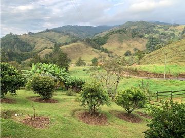Venta de Finca en El Retiro, Antioquia | Con caballerizas