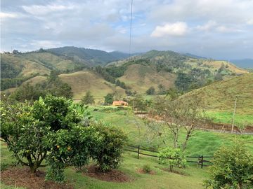 Venta de Finca en El Retiro, Antioquia | Con caballerizas