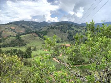 Venta de Finca en El Retiro, Antioquia | Con caballerizas