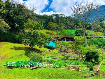 Finca en venta, V. Mangarriba, Girardota