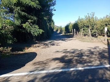 Parcela 2,5 Hás. Rincón de Morales.