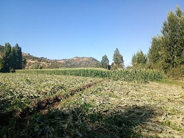 Parcela 2,5 Hás. Rincón de Morales.