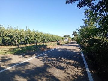 Parcela 2,5 Hás. Rincón de Morales.