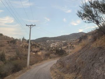 Vende Parcela El Tayen Fundo Santa Aurora Coinco