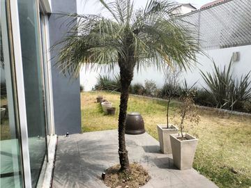 EXCLUSIVA RESIDENCIA EN PRADO LARGO, CON BUENOS ACABADOS
