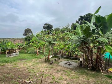 Venta Finca hotel en Montenegro Quindío 1 hectarea