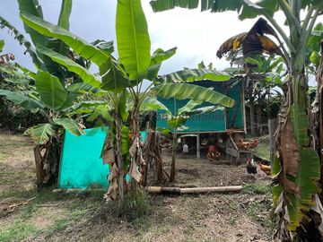 Venta Finca hotel en Montenegro Quindío 1 hectarea