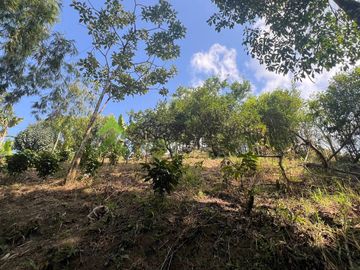 Finca pequeña en venta Montenegro Quindio Rancho La Soledad