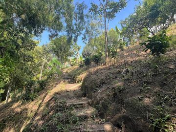 Finca pequeña en venta Montenegro Quindio Rancho La Soledad