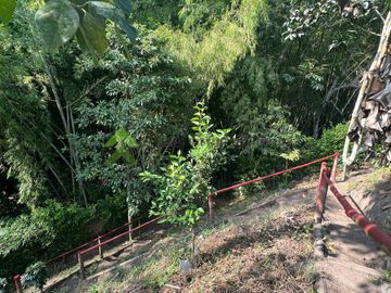 Finca pequeña en venta Montenegro Quindio Rancho La Soledad
