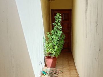 Departamento Tipo Casa en venta en Piñeyro