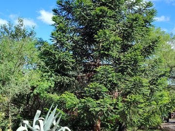 Hermosa Propiedad en Venta en Las Chacras de Villa De Las Rosas, Traslasierra