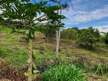 Venta Lote Dapa - Gualandayes