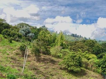 Venta Lote Dapa - Gualandayes