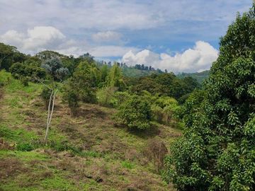 Venta Lote Dapa - Gualandayes