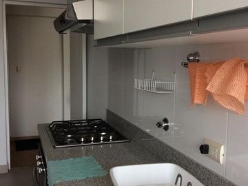 Departamento - Lince