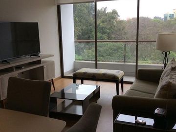 Departamento - Lince