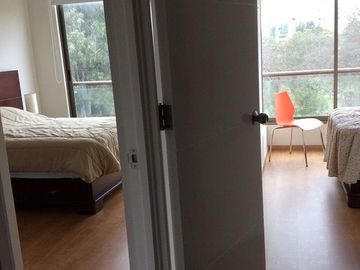 Departamento - Lince
