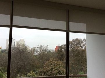 Departamento - Lince