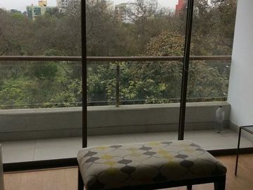 Departamento - Lince