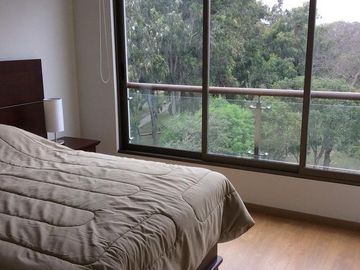 Departamento - Lince