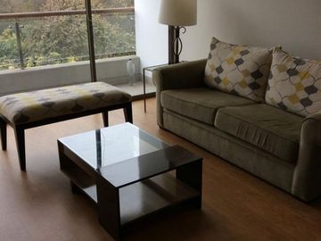 Departamento - Lince
