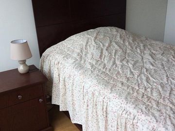 Departamento - Lince