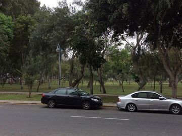 Departamento - Lince