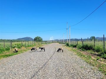 Parcela en Venta en Zapallar, curico