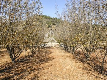 Parcela en Venta en Zapallar, curico