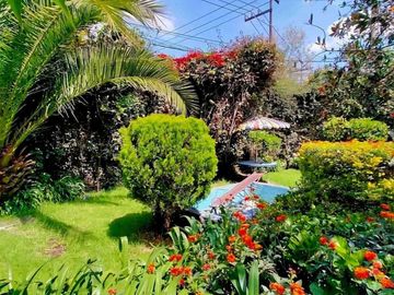 SE VENDE CASA, COMO CASA O TERRENO, OLIVAR DE LOS PADRES !
