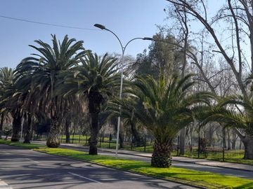 A PASOS DE METRO RONDIZZONI Y PARQUE O´HIGGINS DPTO. 1 DORMI